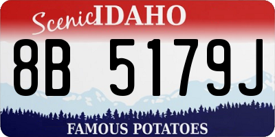 ID license plate 8B5179J