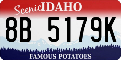 ID license plate 8B5179K
