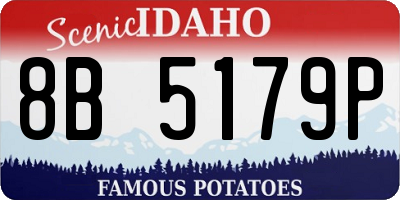 ID license plate 8B5179P
