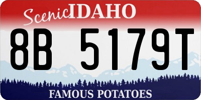 ID license plate 8B5179T