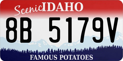 ID license plate 8B5179V