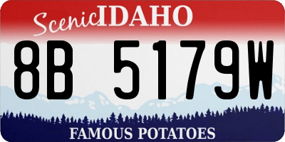 ID license plate 8B5179W