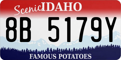 ID license plate 8B5179Y