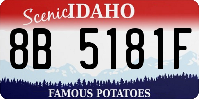 ID license plate 8B5181F