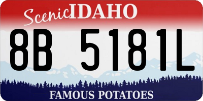 ID license plate 8B5181L