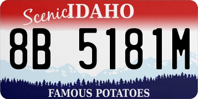 ID license plate 8B5181M