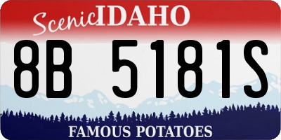 ID license plate 8B5181S