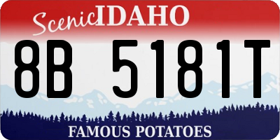 ID license plate 8B5181T