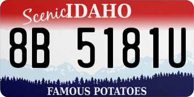 ID license plate 8B5181U