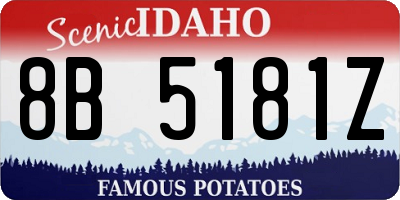 ID license plate 8B5181Z