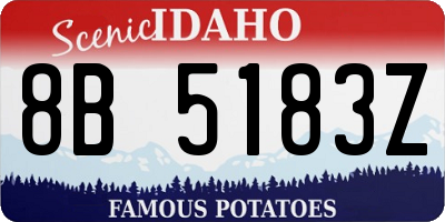 ID license plate 8B5183Z