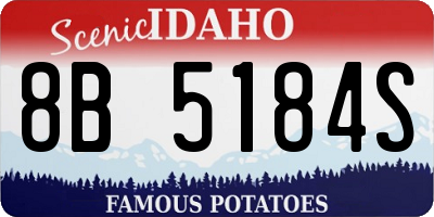 ID license plate 8B5184S