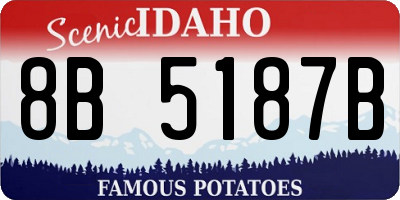 ID license plate 8B5187B