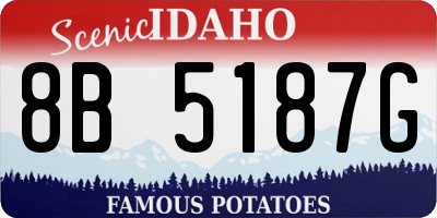 ID license plate 8B5187G