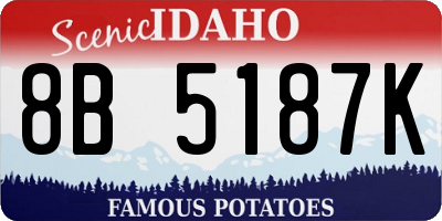 ID license plate 8B5187K