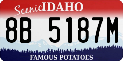 ID license plate 8B5187M