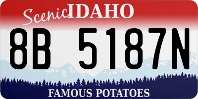 ID license plate 8B5187N