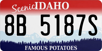 ID license plate 8B5187S