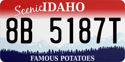 ID license plate 8B5187T