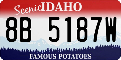 ID license plate 8B5187W
