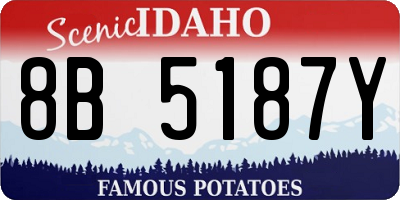 ID license plate 8B5187Y
