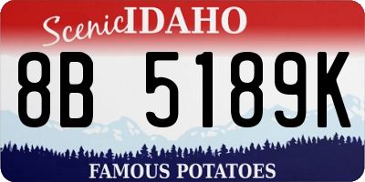 ID license plate 8B5189K