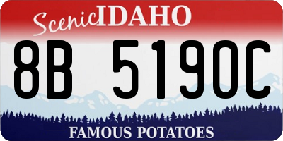 ID license plate 8B5190C