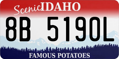 ID license plate 8B5190L