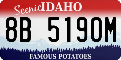 ID license plate 8B5190M
