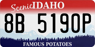 ID license plate 8B5190P