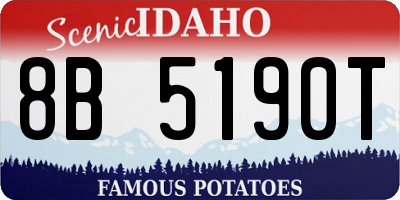 ID license plate 8B5190T