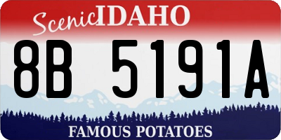 ID license plate 8B5191A