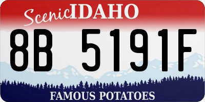 ID license plate 8B5191F