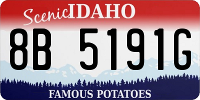 ID license plate 8B5191G