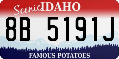 ID license plate 8B5191J