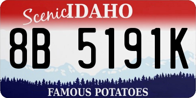 ID license plate 8B5191K