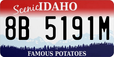 ID license plate 8B5191M
