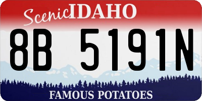 ID license plate 8B5191N