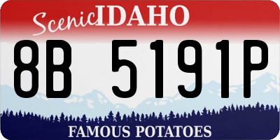 ID license plate 8B5191P