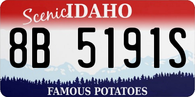 ID license plate 8B5191S