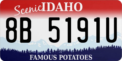 ID license plate 8B5191U