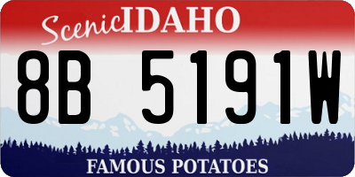 ID license plate 8B5191W