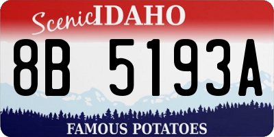 ID license plate 8B5193A