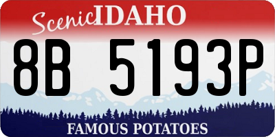 ID license plate 8B5193P