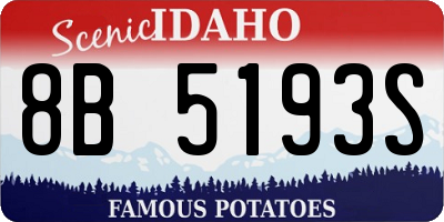 ID license plate 8B5193S