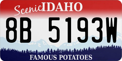 ID license plate 8B5193W