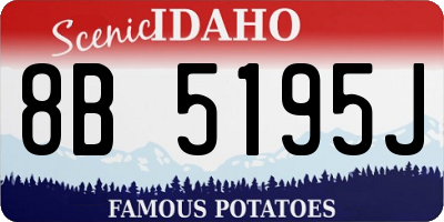 ID license plate 8B5195J