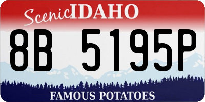 ID license plate 8B5195P
