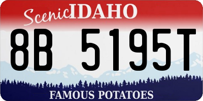 ID license plate 8B5195T