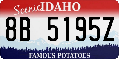 ID license plate 8B5195Z